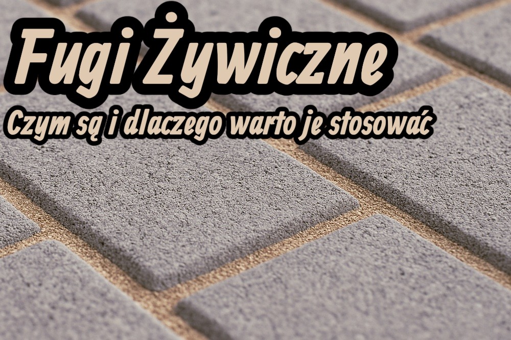 Fugi Żywiczne - Czym są i dlaczego warto je stosować