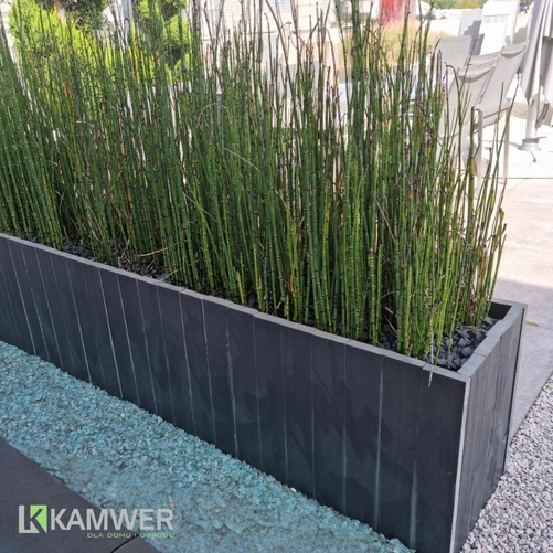 Palisada kamienna grafitowa Nera 50x10x3