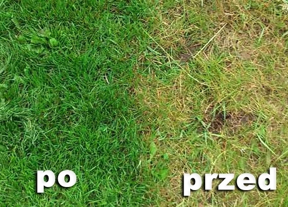 Siarczan Żelaza Antymech 20kg - Nawóz 7H2O na Trawnik Przeciw Mchu