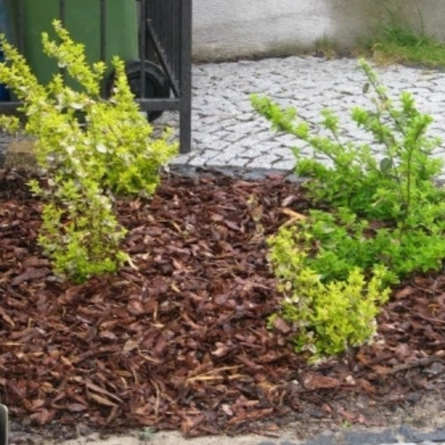 Kora Sosnowa Iglasta 10–60 mm 80L – Naturalna Ściółka do Rabat i Krzewów