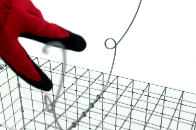 Żywołapka na Kuny, Lisy, Szopy 82x20x27cm Pułapka Humanitarna Metalowa Wielorazowego Użytku