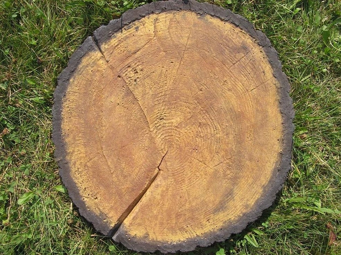 Kręgi Betonowe Drewnopodobne Do Ogrodu 20szt.