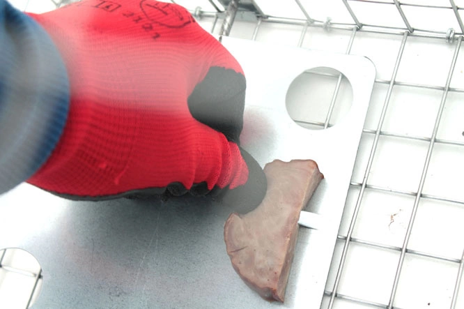 Żywołapka na Kuny, Norki i Szczury 50x20x27cm Pułapka Humanitarna Metalowa Wielorazowego Użytku