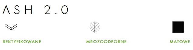 Płyta tarasowa Ash Black 60x60 2cm Gat. 1