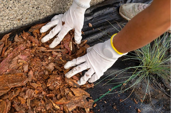 Agrotkanina Czarna 20mb 100g + Kotwy 200szt + Kotwa wiel. + Podkładki 200szt. - Mata pod Ściółkowanie i Chwasty